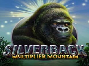 Silverback Multiplier Mountain game thumbnail