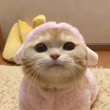 WS Rendra profile picture